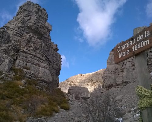 saison-Chateau de la molle-valavoire